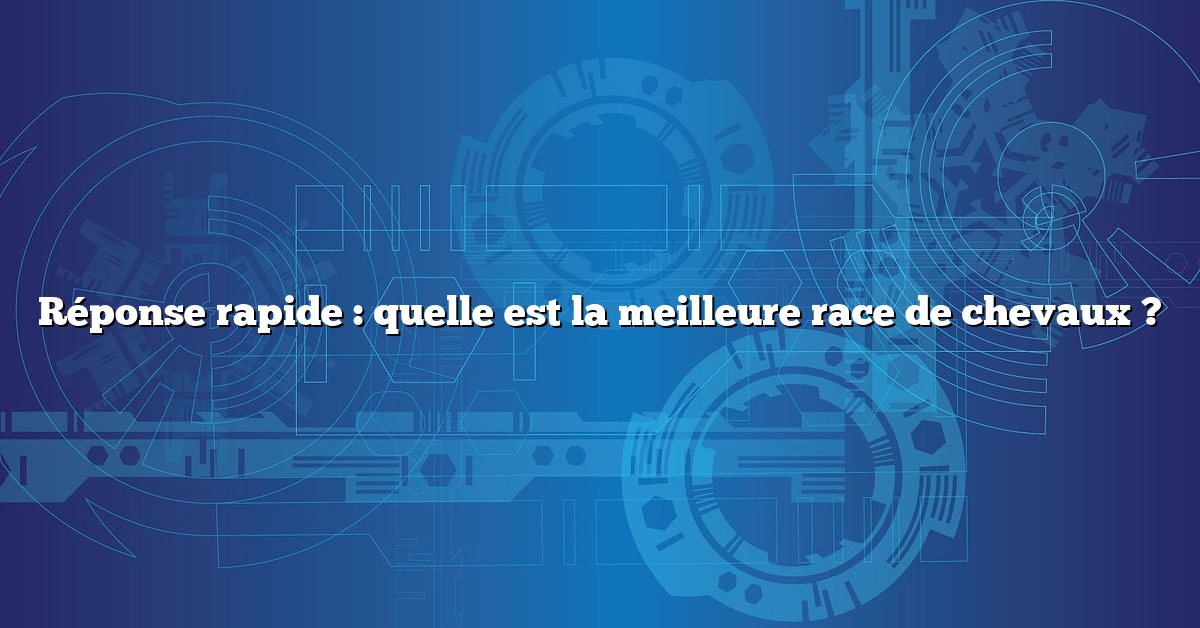 Réponse rapide : quelle est la meilleure race de chevaux ?